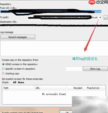 SVN标签打包实战指南  第3张