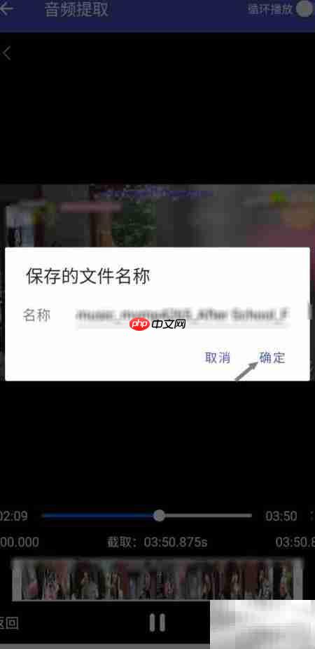 视频音频提取技巧  第4张