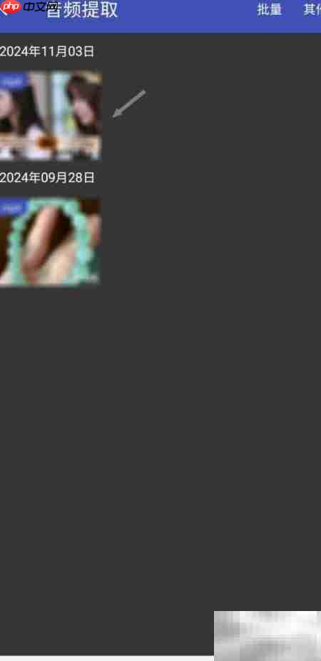 视频音频提取技巧  第2张