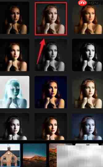 Photoshop Express外观滤镜使用技巧  第4张