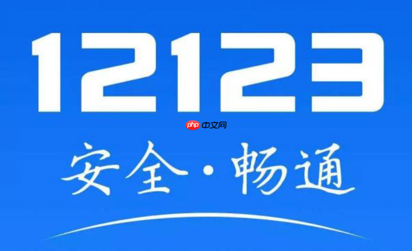 电子驾驶证怎么申领 交管12123亮证功能使用指南  第1张