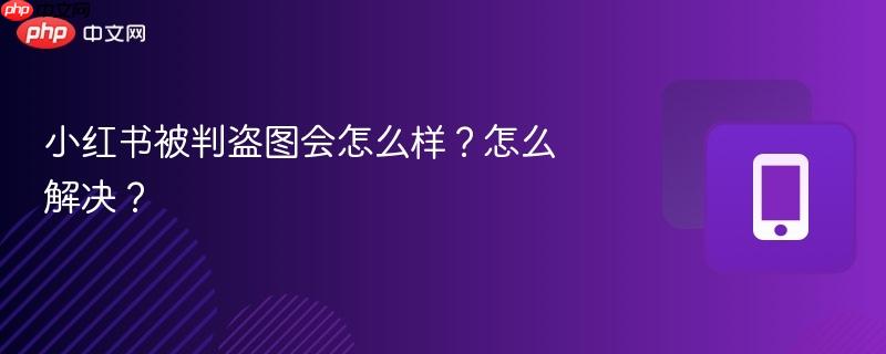 小红书被判盗图会怎么样？怎么解决？  第1张