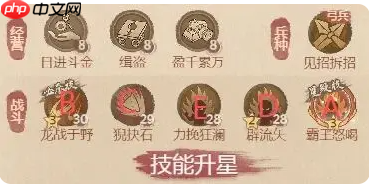 这城有良田铁卫僚属技能升星怎么选-铁卫僚属技能升星方案  第4张