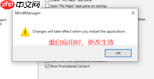 MindManager如何设置中文 第1张 MindManager如何设置中文 第1张
