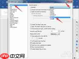 MindManager如何设置中文 第3张 MindManager如何设置中文 第3张