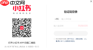 如何直接打开小红书网页版入口  第1张