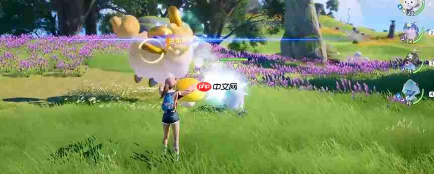 《伊莫》新手期宠物选择攻略  第1张