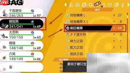 宝可梦剑盾极巨化等级提升方法 第4张 宝可梦剑盾极巨化等级提升方法 第4张