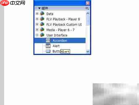 Flash相册制作技巧  第3张