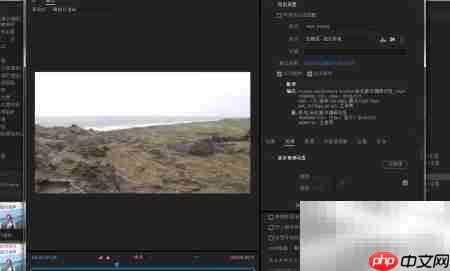 PR亮度校正器设置方法  第6张