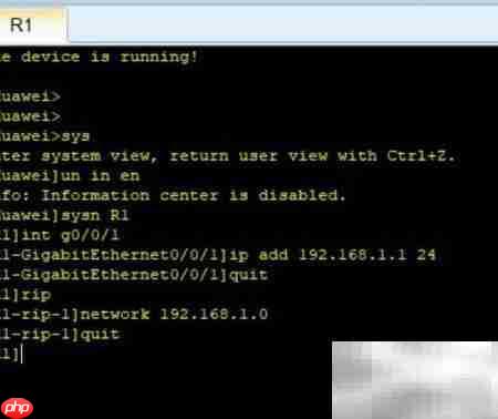 eNSP中RIP协议配置  第2张