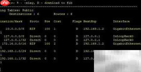 eNSP中RIP协议配置  第5张