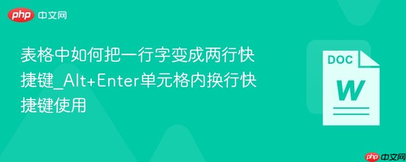 表格中如何把一行字变成两行快捷键_Alt+Enter单元格内换行快捷键使用  第1张