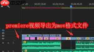 premiere如何导出mov格式视频文件 第2张 premiere如何导出mov格式视频文件 第2张