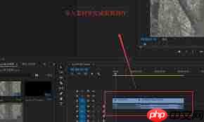 premiere如何导出mov格式视频文件 第1张 premiere如何导出mov格式视频文件 第1张