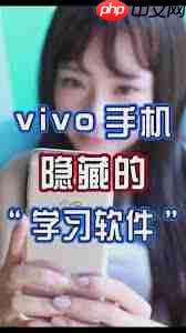 vivo如何在拨号中隐藏游戏图标  第2张