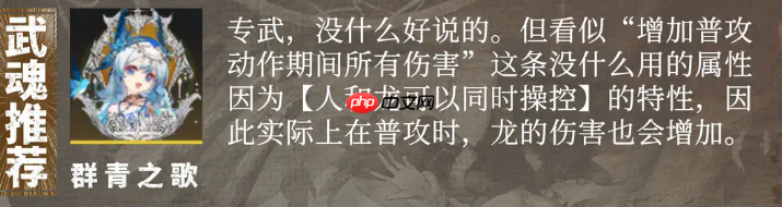 《辉烬》武魂一览  第4张