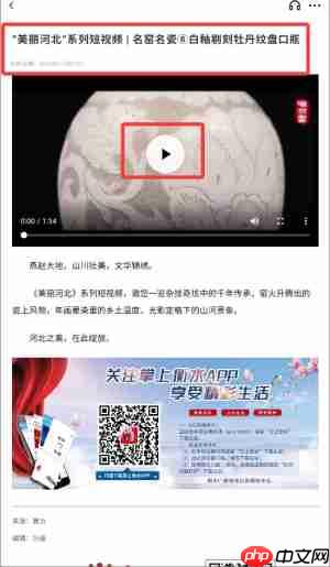 掌上衡水app资讯查看方法  第4张