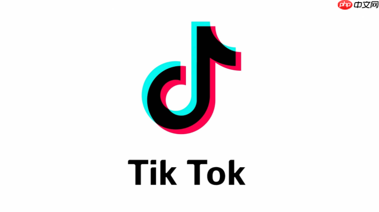 TikTok网页版免费入口 TikTok网页版官方内容网页直达  第1张