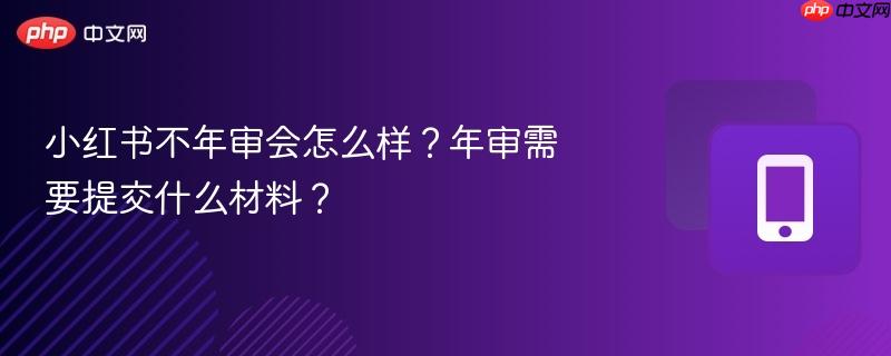 小红书不年审会怎么样？年审需要提交什么材料？  第1张