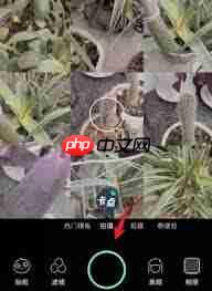 faceu怎么拼图  第1张