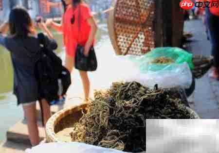 西塘古镇游玩全攻略  第16张