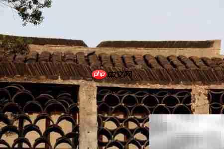 西塘古镇游玩全攻略  第29张