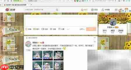 解决alissologin插件加载失败 第5张 解决alissologin插件加载失败 第5张
