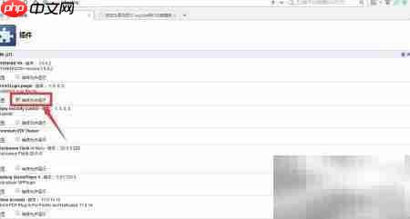 解决alissologin插件加载失败 第6张 解决alissologin插件加载失败 第6张