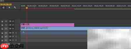 Premier视频自定义遮罩教程  第6张