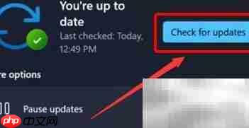 Win11摄像头驱动更新指南 第3张 Win11摄像头驱动更新指南 第3张