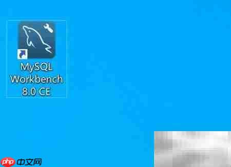 Workbench创建数据库教程