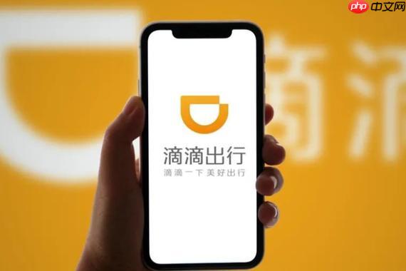 滴滴出行2025年度报告怎么下载 滴滴年度账单截图分享  第1张