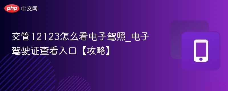 交管12123怎么看电子驾照_电子驾驶证查看入口【攻略】  第1张