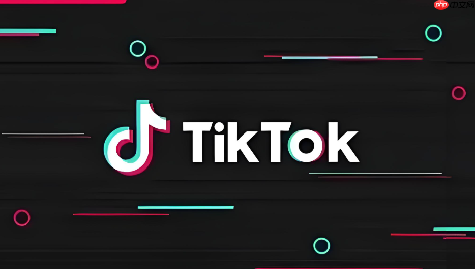 TikTok网页版官网入口 TikTok网页端在线直接访问  第1张
