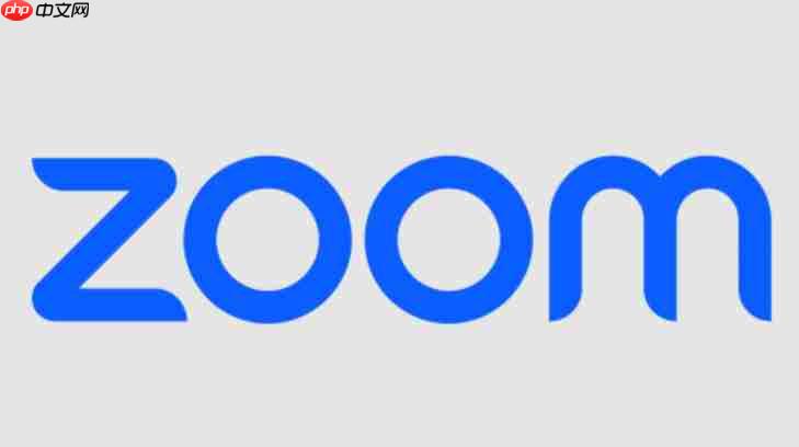 zoom怎么检测扬声器？-zoom检测扬声器的方法  第1张