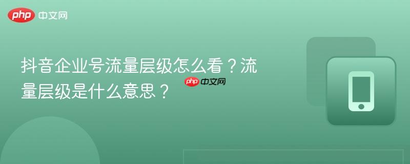 抖音企业号流量层级怎么看?流量层级是什么意思? 第1张 抖音企业号流量层级怎么看?流量层级是什么意思? 第1张