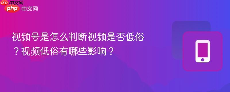 视频号是怎么判断视频是否低俗?视频低俗有哪些影响? 第1张 视频号是怎么判断视频是否低俗?视频低俗有哪些影响? 第1张