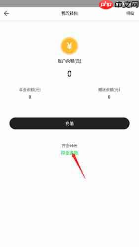 喵走出行app退押金流程  第3张