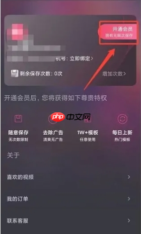 甜拍app怎么开通会员-会员开通步骤  第2张