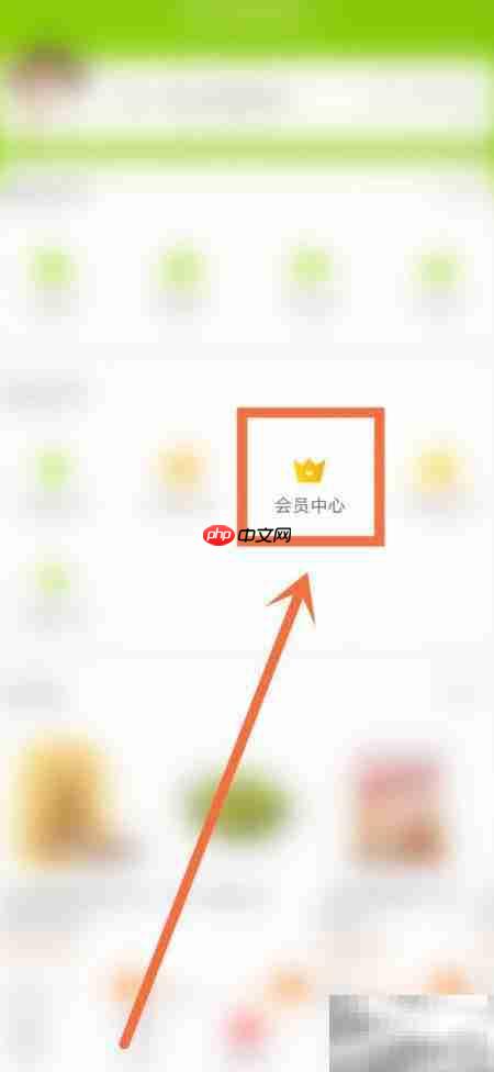 大润发积分查询方法  第4张