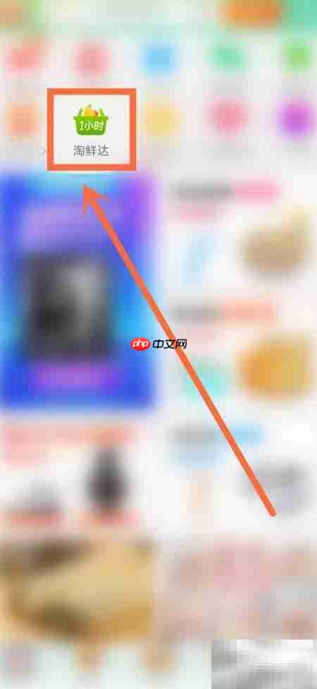 大润发积分查询方法  第2张