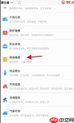鄂汇办app发票真伪怎么查询-发票真伪查询方法  第5张