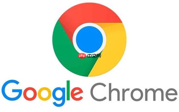 Chrome如何更改下载文件位置_自定义存储路径【配置教程】  第1张