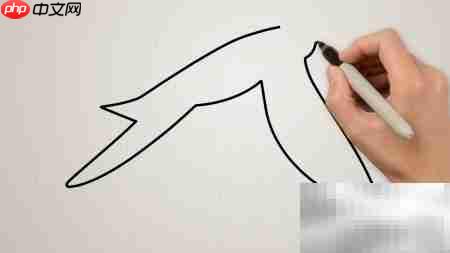 海鸥简笔画法轻松学  第2张