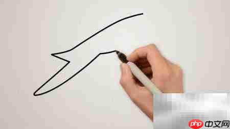 海鸥简笔画法轻松学  第1张