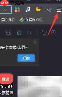 清除浏览器上网痕迹方法  第2张