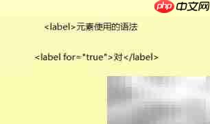 label标签使用方法详解  第1张