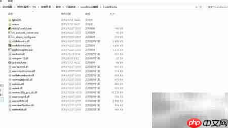 CodeBlock安装EGE绘美丽图形