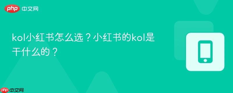 kol小红书怎么选？小红书的kol是干什么的？  第1张